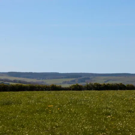 Sage Sanctuary